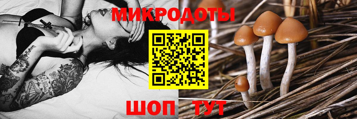 Галлюциногенные грибы MAGIC MUSHROOMS  Вход с VPN  Солнечногорск 