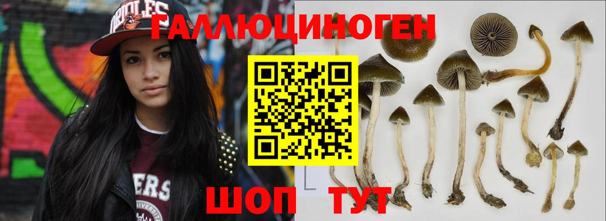 Псилоцибиновые грибы ЛСД Солнечногорск